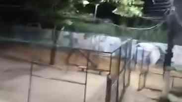 Disputa Armada em Campo Grande: Medo e Tensão