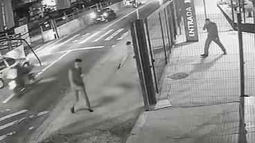 Cachorro morto a tiros em SP: Suspeito foge do local