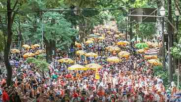 SP recebe Galo da Madrugada e outros blocos no Carnaval