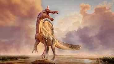 Novo Spinosaurus Gigante Descoberto no Níger