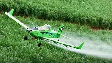 Estudo revela agrotóxicos perigosos em todo o mundo