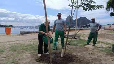 Planta+Rio: Arborização na Orla de Botafogo