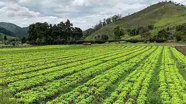 O campo popular e a questão agrícola nacional