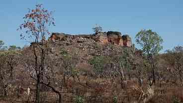 IA Mapeia Terras Abandonadas no Cerrado