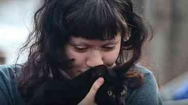 Castração Gratuita de Cães e Gatos em SP