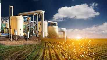Safra Recorde e Crescimento dos Biocombustíveis
