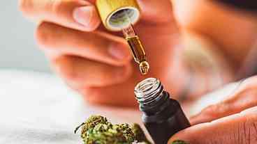 Cannabis Medicinal e Insônia: Uma Alternativa Segura