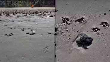 Inea investiga óleo encontrado na praia de Ipanema