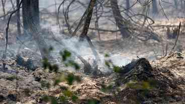 Incêndios forçam retirada de moradores na França e Espanha