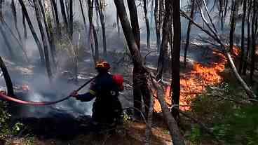 Europeus tentam controlar incêndios, mas chamas avançam na Grécia