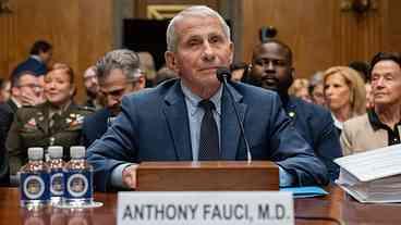 Senado dos EUA acusa Fauci de desacato ao Congresso