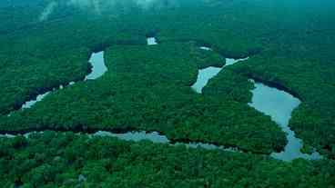 Alertas de desmatamento recuam na Amazônia e no Cerrado