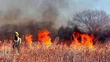 Incêndio de grandes proporções devasta parque natural, na Bélgica