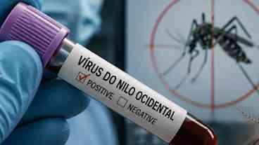 Médico diz que febre do Nilo Ocidental não exige pânico