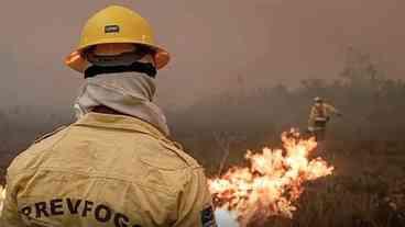 Força-tarefa reduz focos de incêndio no Amazonas