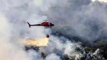 Incêndios em vegetação caem 33% no Rio, aponta balanço
