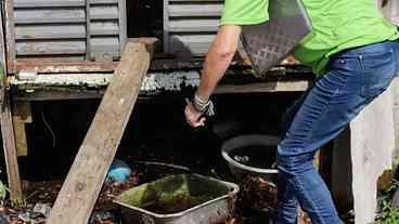Efeitos do clima elevam ocorrência de doenças infecciosas