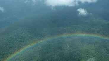 Terra indígena começa a se recuperar com saída de garimpeiros