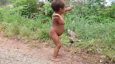 Polícia investiga desvios de remédios destinados aos Yanomami