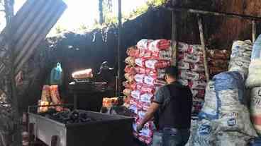 Polícia fecha carvoaria clandestina por trabalho escravo em Itaguaí