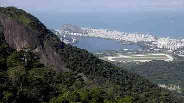 Preservação das áreas verdes do Rio é lembrada no Dia da Mata Atlântica