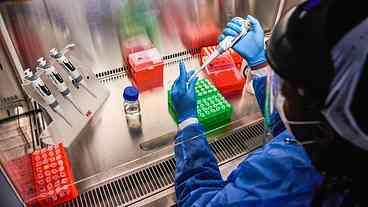 Cientistas descobrem nova variante da covid com grande número de mutações