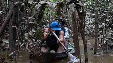 Relatórios contrariam PF e revelam atuação de saqueadores no Javari