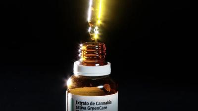 cannabis.jpg