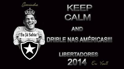 botafogo-libertadores.jpg