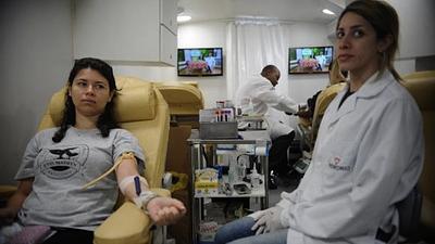 campanha3.jpg