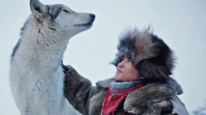 loup_div292-300x168.gif