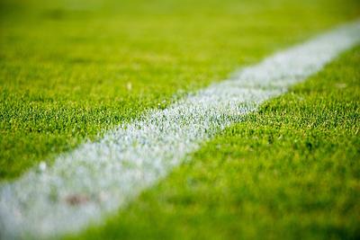 grass-2616911_1280.jpg