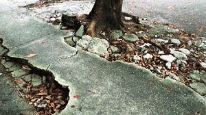 calcada-300x168.gif