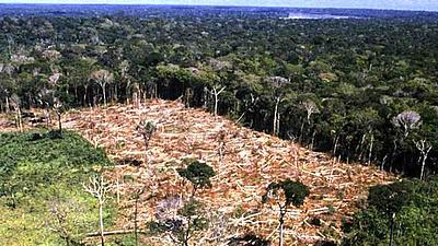 amazonia.jpg