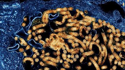 ebola.jpg