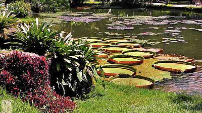 jardimbotanico.jpg