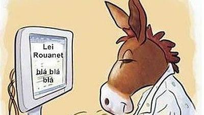lei.jpg