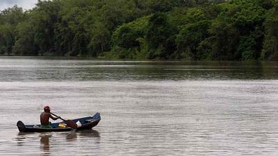amazonia-1.jpg