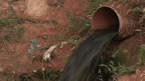 esgoto-300x168.gif