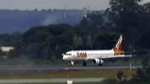 aviaotam1-300x168.gif