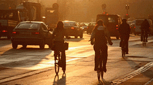 bike-copenhage-300x168.gif