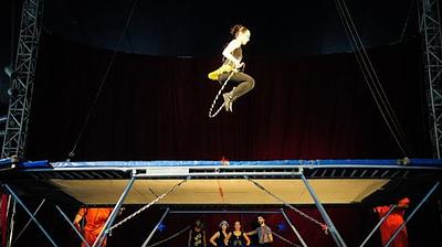 circorio.jpg