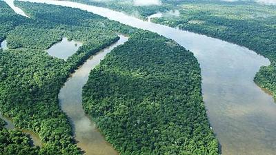 brasilmeioambiente.jpg