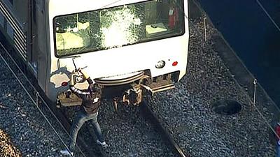 trem2.jpg