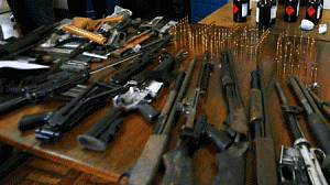 armas1-300x168.gif