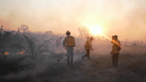 queimada-300x168.gif