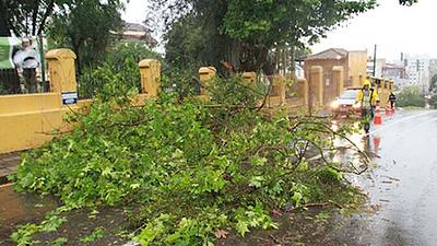 chuva-5.jpg