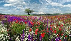 foto-europa-primavera1-300x174.jpg