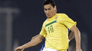 ganso-300x168.gif