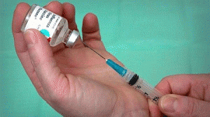 vacina_gripe_suina-300x168.gif